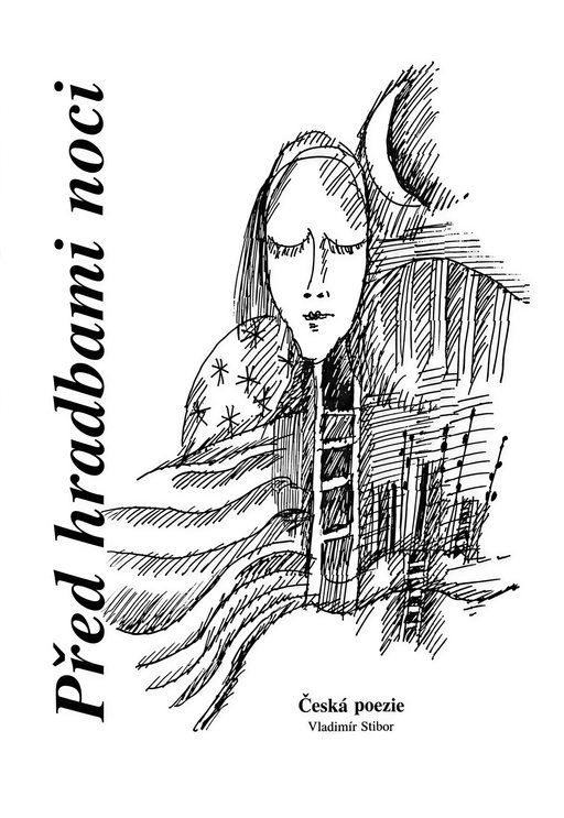 Book cover — Před hradbami noci